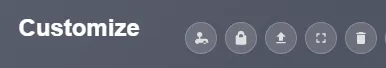 Customization options for entries